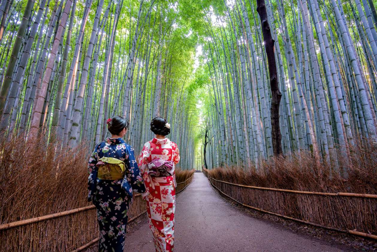 Day Trip to Arashiyama